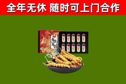 内江回收冬虫夏草价格